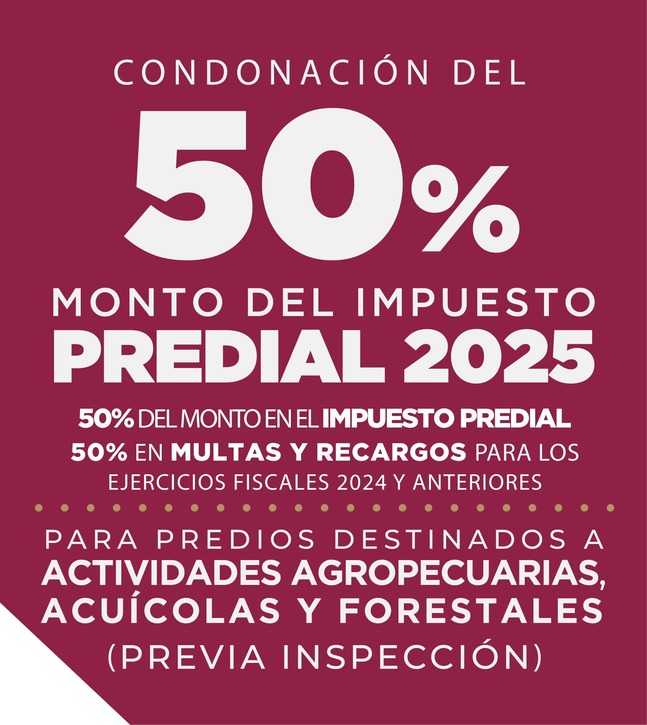 Banners Bonificaciones 02